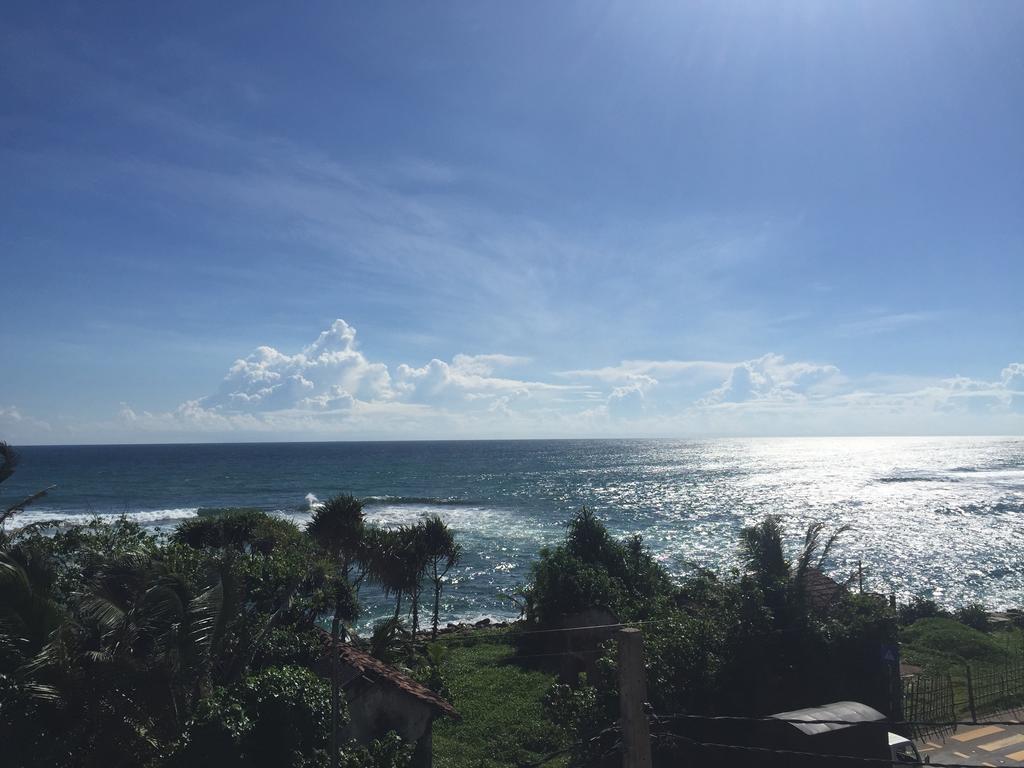 Cheeky Monkey Surf Camp Hotel เวลิกามา ภายนอก รูปภาพ