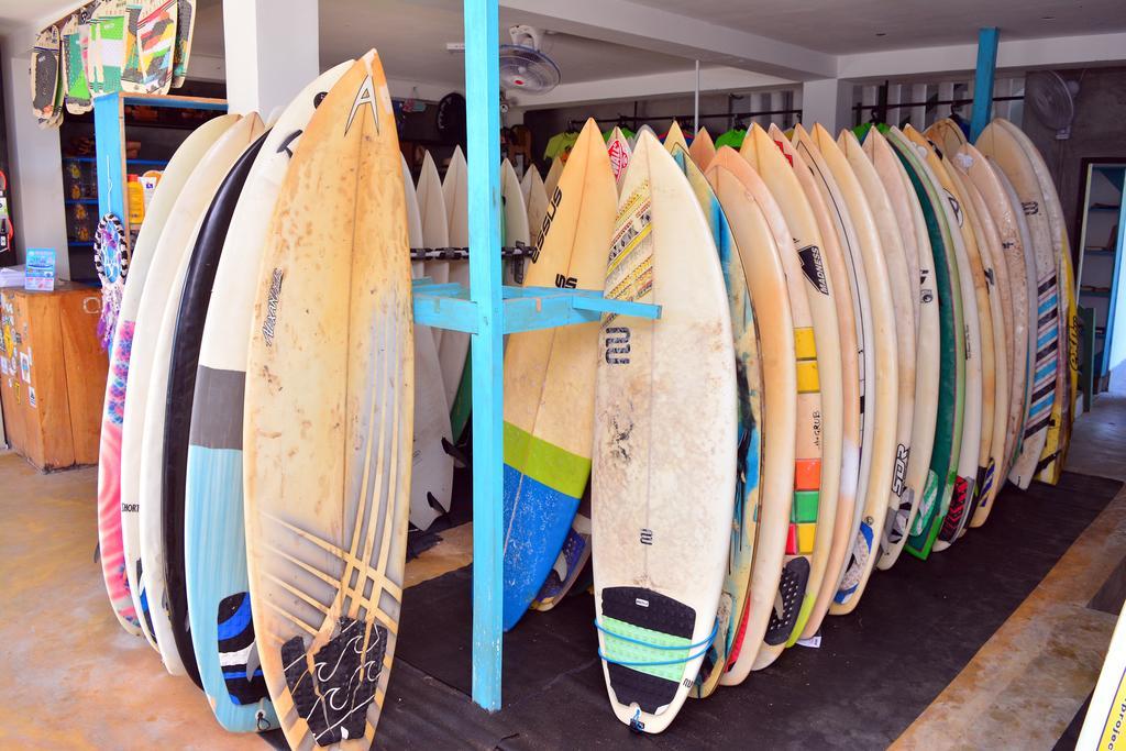 Cheeky Monkey Surf Camp Hotel เวลิกามา ภายนอก รูปภาพ