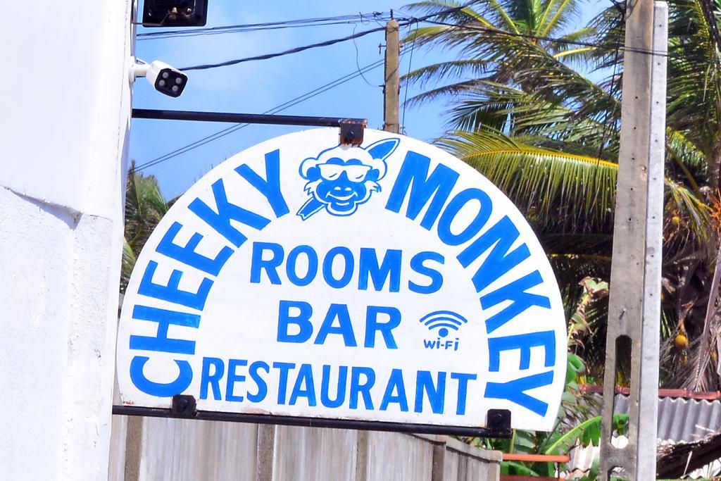 Cheeky Monkey Surf Camp Hotel เวลิกามา ภายนอก รูปภาพ