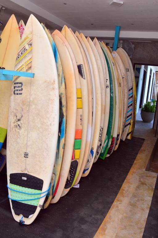 Cheeky Monkey Surf Camp Hotel เวลิกามา ภายนอก รูปภาพ